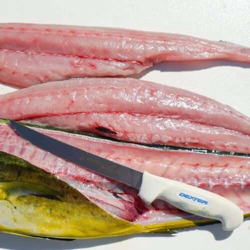 MAHI MAHI FISH FILLET