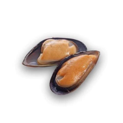 HALF SHELL MUSSELS
