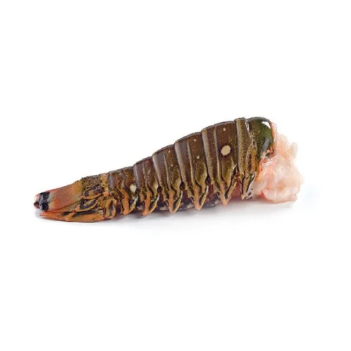 LOBSTER TAIL 200-300G
