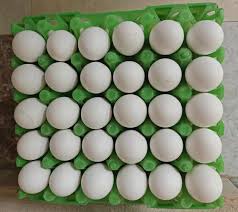 WHITE EGG LARGE INDIA