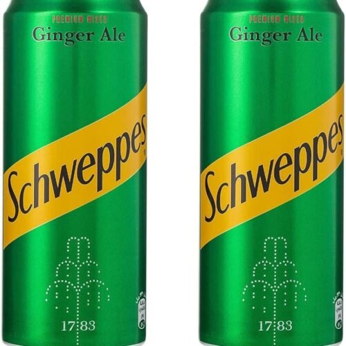 SCHWEPPES GINGER ALE 330ML